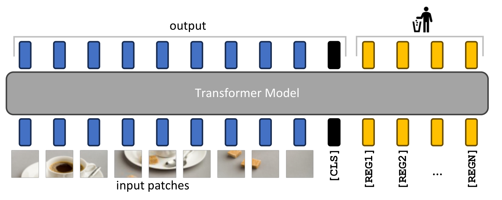 Registers Figure 6: additional learned tokens operate inside the backbone; tasks normally use CLS and patch outputs. The visual arrangement is schematic; see §2 for code order.